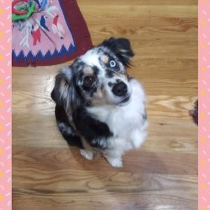 Meet your Posher, Paula